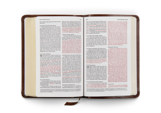 ESV Compact Bible, Red Letter, TruTone®, Brown