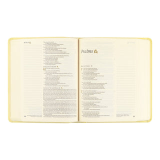 NLT Notetaking Bible: Belfast Theme
