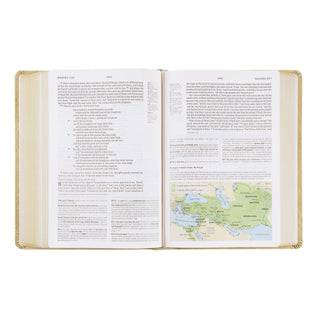 ESV Study Bible: Sonora Theme