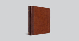 ESV Journaling Study Bible (TruTone, Brown/Chestnut, Timeless Design)