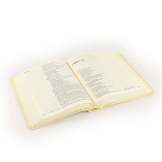 NLT Notetaking Bible: Belfast Theme