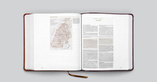 ESV Journaling Study Bible (TruTone, Brown/Chestnut, Timeless Design)