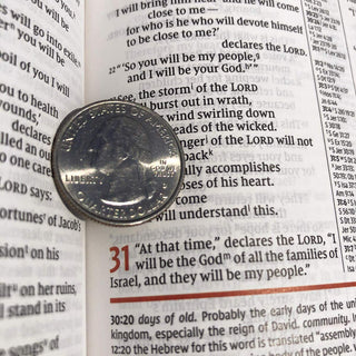 NIV Study Bible, Fully Revised Edition (Study Deeply. Believe Wholeheartedly.), Personal Size, Leathersoft, Navy/Blue, Red Letter, Comfort Print