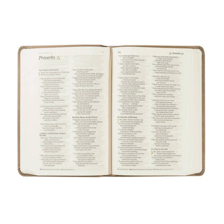 NLT Compact Bible: Marlo Theme