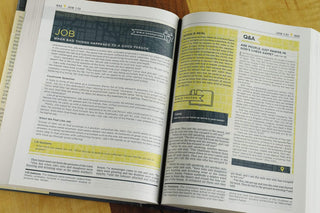 NIV, Starting Place Study Bible (An Introductory Study Bible), Hardcover, Tan, Comfort Print: An Introductory Exploration of Studying God's Word