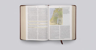 ESV Study Bible (TruTone, Walnut, Celtic Imprint Design)