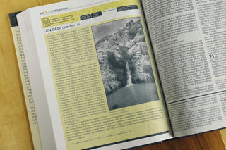 NIV, Starting Place Study Bible (An Introductory Study Bible), Hardcover, Tan, Comfort Print: An Introductory Exploration of Studying God's Word