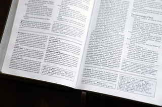 NIV, Foundation Study Bible, Leathersoft, Brown, Red Letter