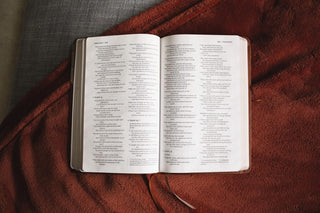 NIV, Thinline Bible, Leathersoft, Brown, Red Letter, Comfort Print Imitation Leather