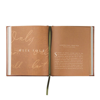 God of Forever by Haylee J. Williams