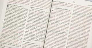 ESV Thinline Bible (TruTone, Royal Lion)