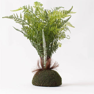 Premade Fern with Moss Base Faux Plant