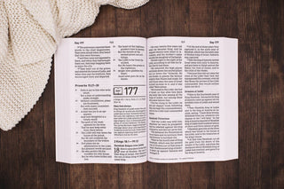 NASB Daily Scripture Super Giant Print Paperback White Gold