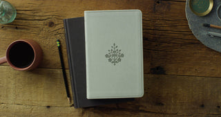ESV Large Print Value Thinline Bible (TruTone, River Stone)