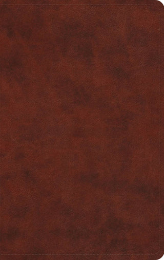 ESV LP Value Thinline (TT, Chestnut)