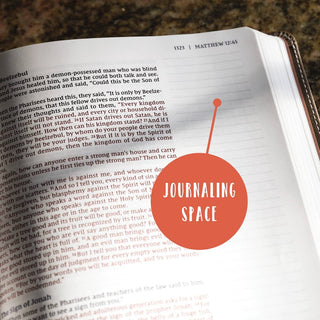 NIV Beautiful Word Bible Updated Edition with Tabs