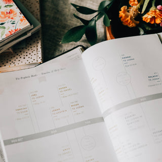 Amen | 5 Week Study | The Story of Scripture from Eden to Eternity