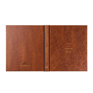 God of Forever by Haylee J. Williams