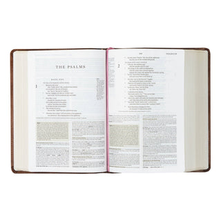 ESV Study Bible : Aurora Theme