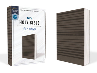 NIV, Holy Bible For Boys