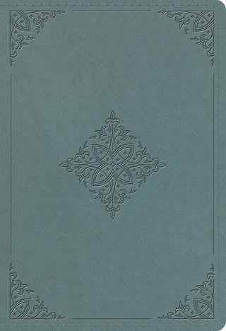 ESV Student Study Bible (TT, Paris Sky)