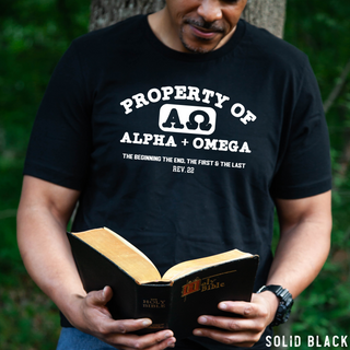 Alpha & Omega Christian Men's Tee Shirt in Multiple Color Options