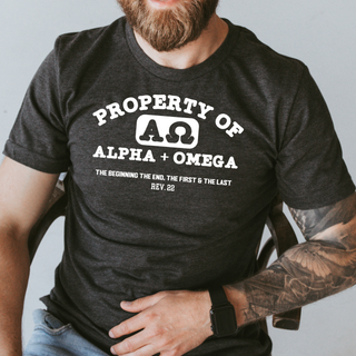 Alpha & Omega Christian Men's Tee Shirt in Multiple Color Options