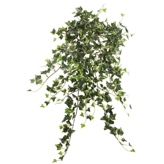 Vickerman 26" Artificial Variegated Mini Ivy Hanging Bush.