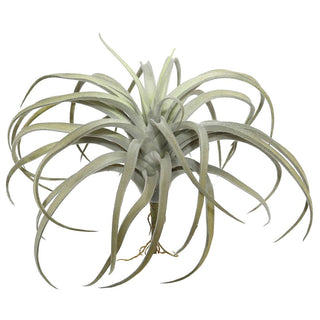 Vickerman 10.5" Artificial Gray Tillandsia Pick.