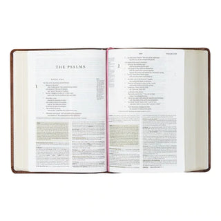 ESV STUDY BIBLE : AURORA THEME