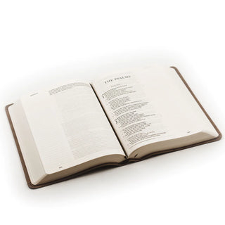 ESV Large Print Journaling Bible : Nara Theme