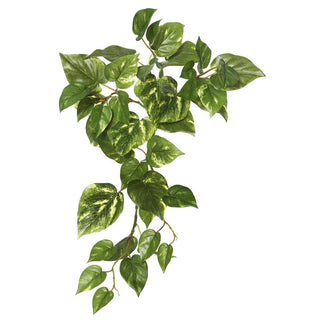 Vickerman 18" Artificial Green Pothos Hanging Bush, Set of 3