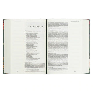 ESV LARGE PRINT JOURNALING BIBLE : HOLLIS THEME